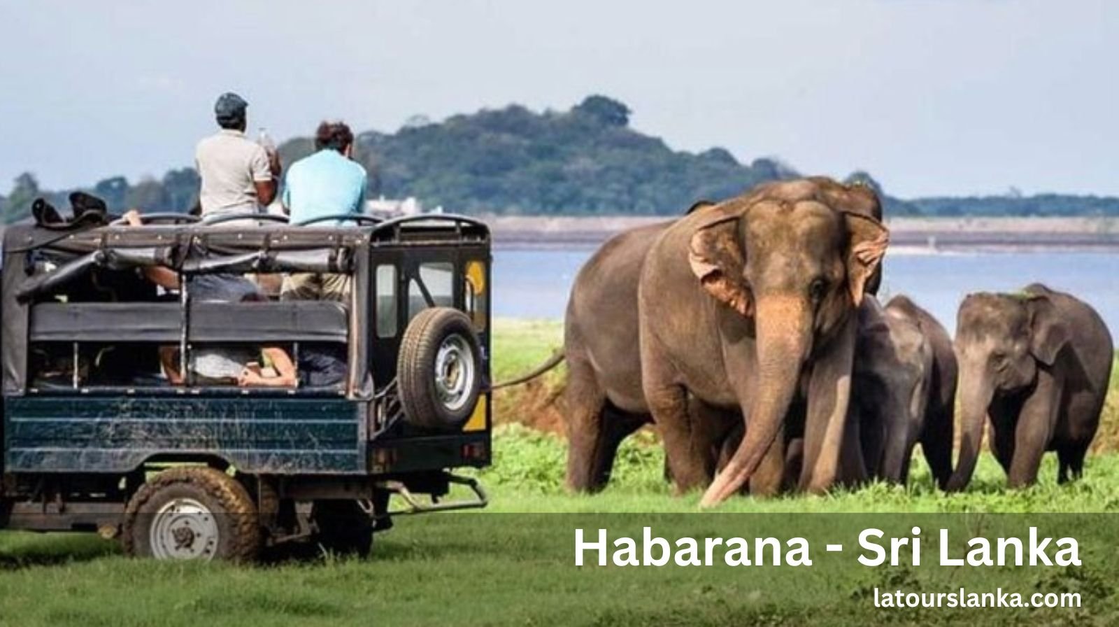 Discover with Us Why Habarana Should be Your Next Adventure in Sri Lanka